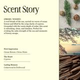 Day On The Sea β Cypress & Cedar Scented Candles