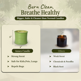 Large Natural Candle - Green Melon & Peppermint Scented Candles