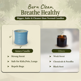 Day On The Sea β Cypress & Cedar Scented Candles
