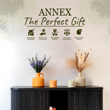 Orange Blossom β Orange & Mimosa Scented Candles