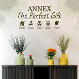 Large Natural Candle - Green Melon & Peppermint Scented Candles