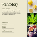 Cloudy Pillow - Fig Leaf & Lemon Scented Candles