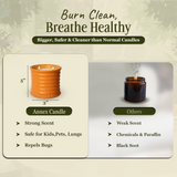 Orange Blossom – Orange & Mimosa Scented Candles